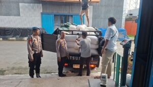 Panen Jagung dari Polres Batu Bara Total 193,074 Ton Berhasil Dijual ke Bulog Asaha