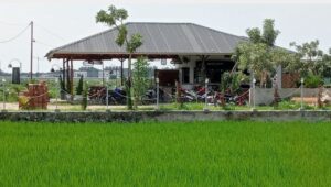 Polres Batu Bara Diminta Usut Dugaan Alih Fungsi Lahan Sawah Pertanian Dijadikan Pembangunan Tempat Usaha